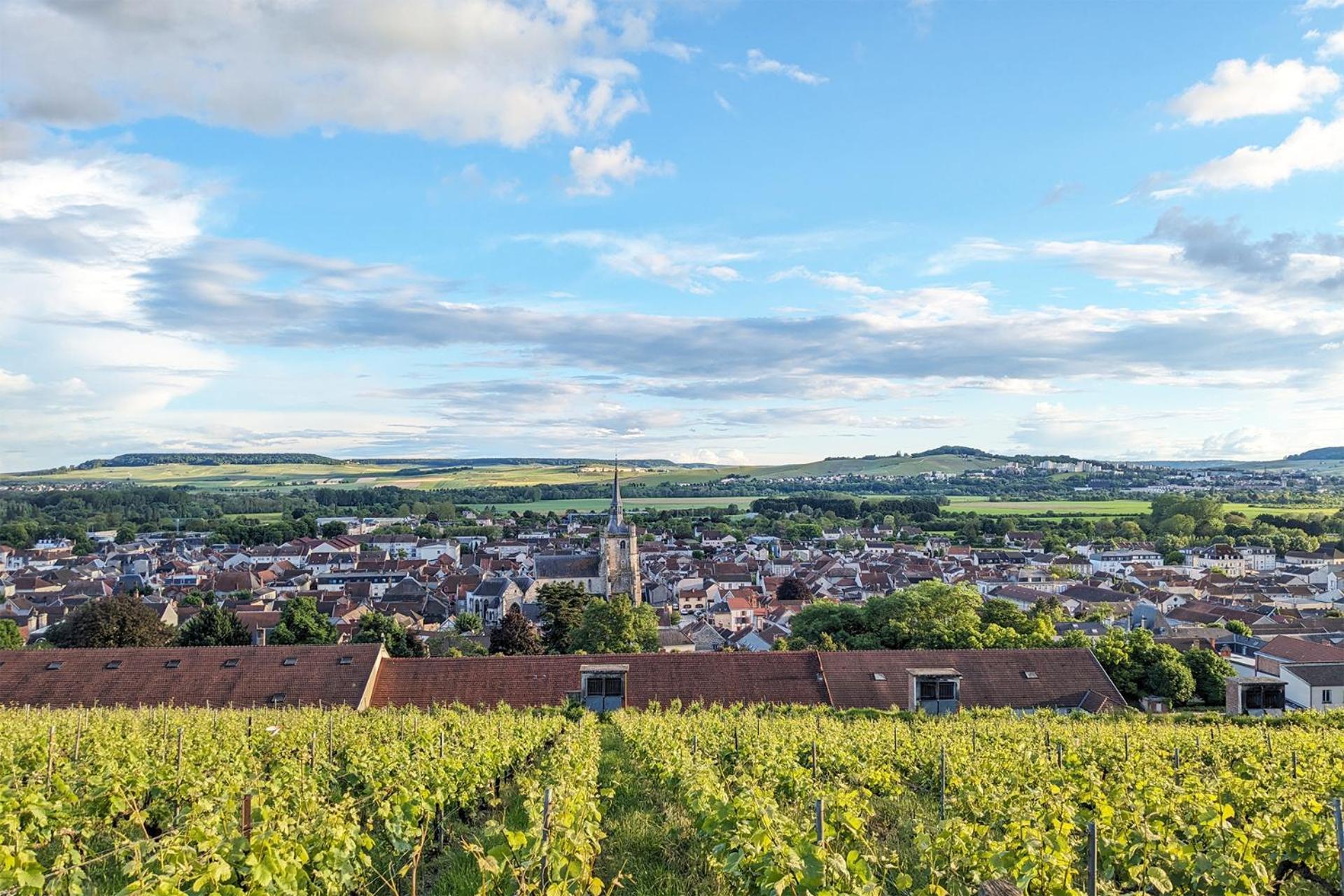 Maison A Deux Mains Ay-Champagne Eksteriør bilde